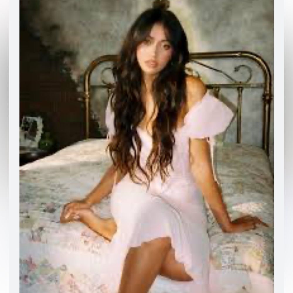 LOBA sheer Pink Midi Dress April Pastel Pink puff sleeves lingerie Revolve S - Picture 2 of 15